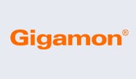 gigamon